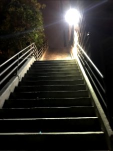 IMG 0556