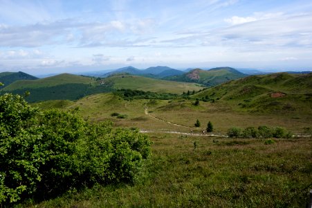 DSC00351
