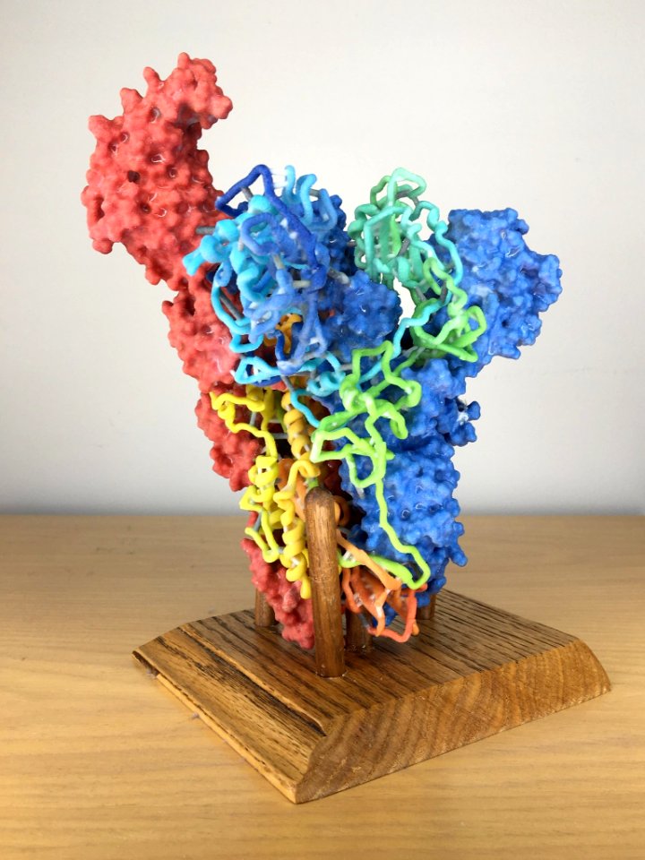 3D Print of Coronavirus Spike