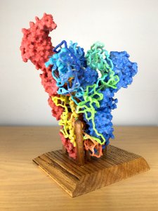 3D Print of Coronavirus Spike photo