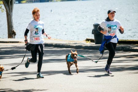 IschelleMartin-furry5k-244