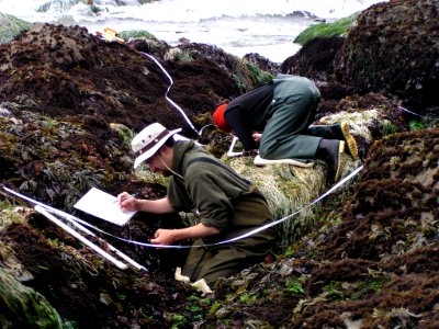 Tidepool monitoring Fradkin rangers working research natural resources NPS photo science 2005