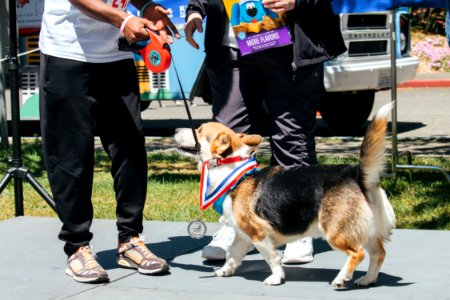 IschelleMartin-furry5k-385