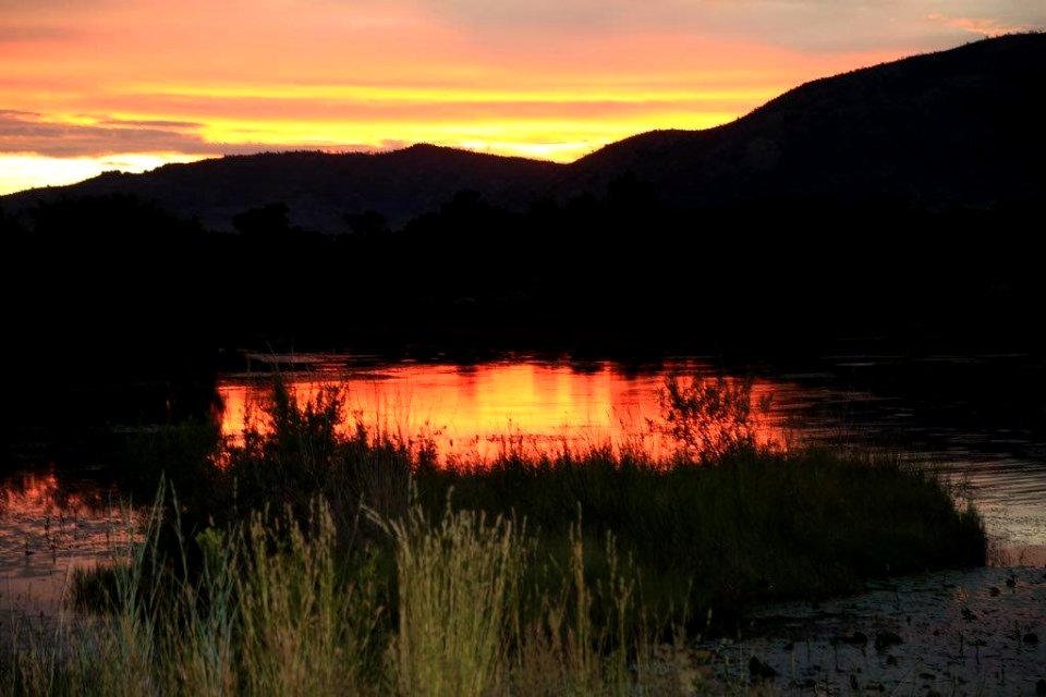 Sunset (8)