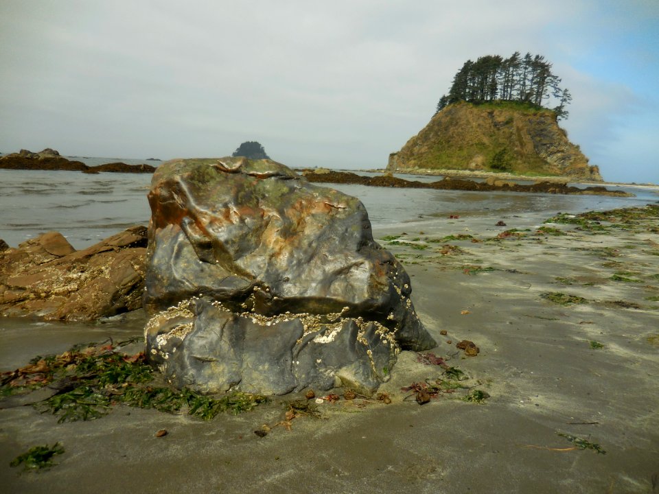 island near cape alava wilderness coastline north c bubar july 2014