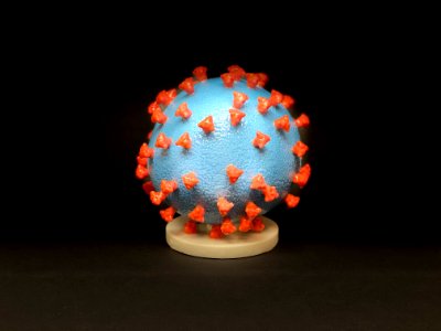 Novel Coronavirus SARS-CoV-2 photo