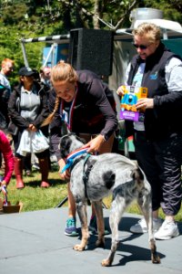 IschelleMartin-furry5k-376