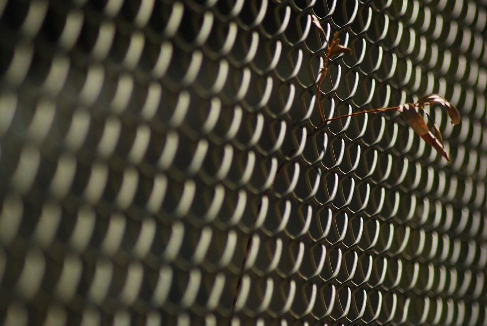 Plant wire border
