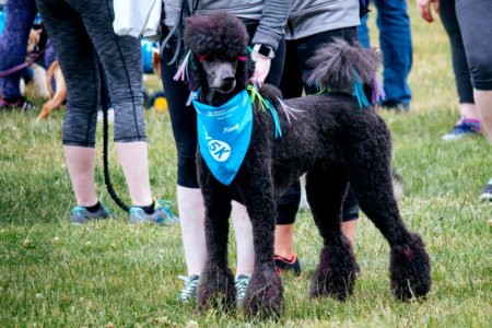 IschelleMartin-furry5k-159