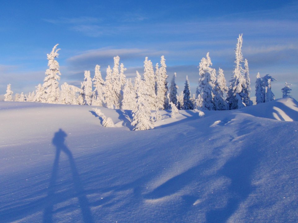 people photography snow Hurricane ridge