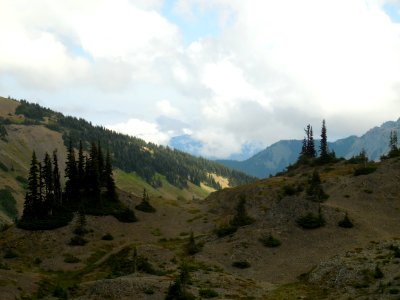 alpine slopes from hurricane hill c bubar july 2014