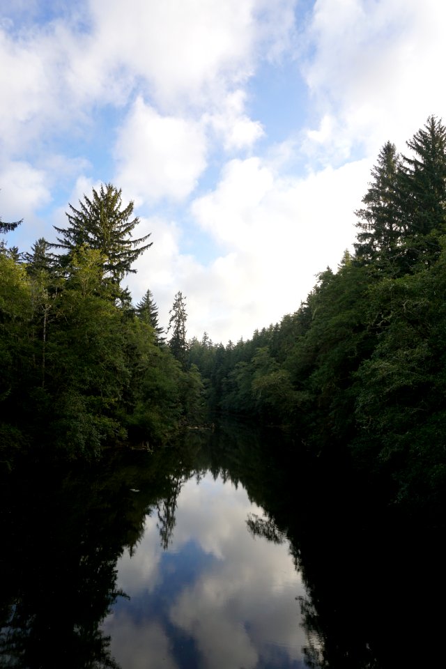 clouds trees dickey river mora d archuleta 2015