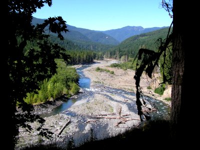 Elwha River South of Humes Ranch WIC NPS Photo