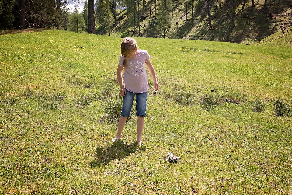 Meadow out nature