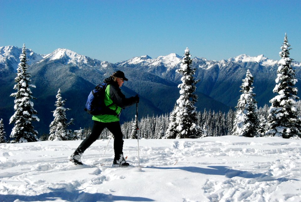 cross country skier skiing Hurricane ridge winter