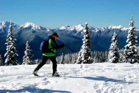 cross country skier skiing Hurricane ridge winter