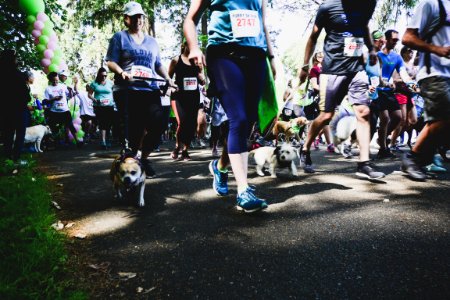 Furry 5K 2019