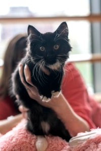 Kitty Hall 2018