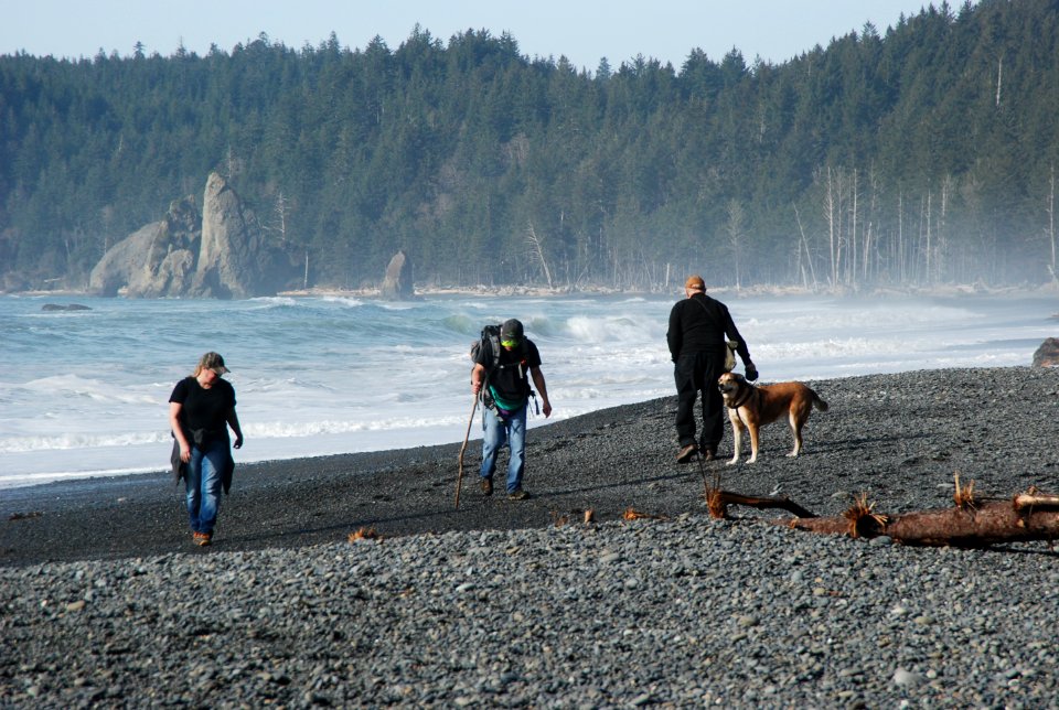 visitors hiking beach dog leash rialto beach c bubar march 06-2015