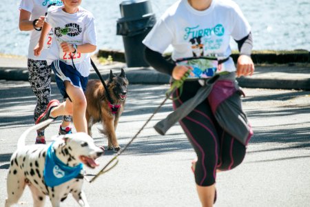 IschelleMartin-furry5k-271