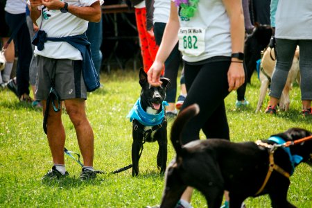IschelleMartin-furry5k-91