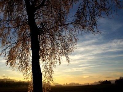 Cold evening