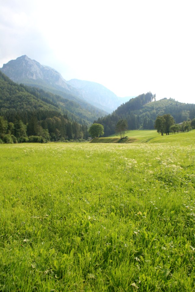 IMG 7760