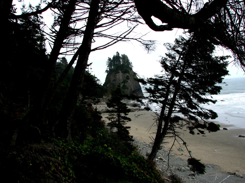 misquito creek  hoh head camp ssheltren nps photo