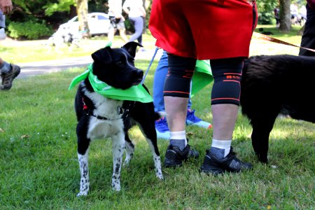 Furry 5K 2019