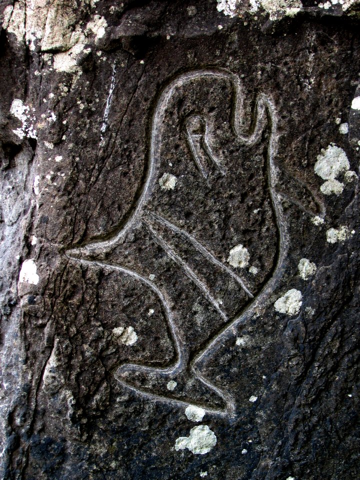 petroglyphs wedding rocks orcas ssheltren nps photo