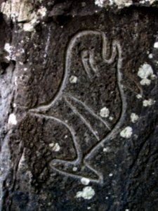 petroglyphs wedding rocks orcas ssheltren nps photo photo