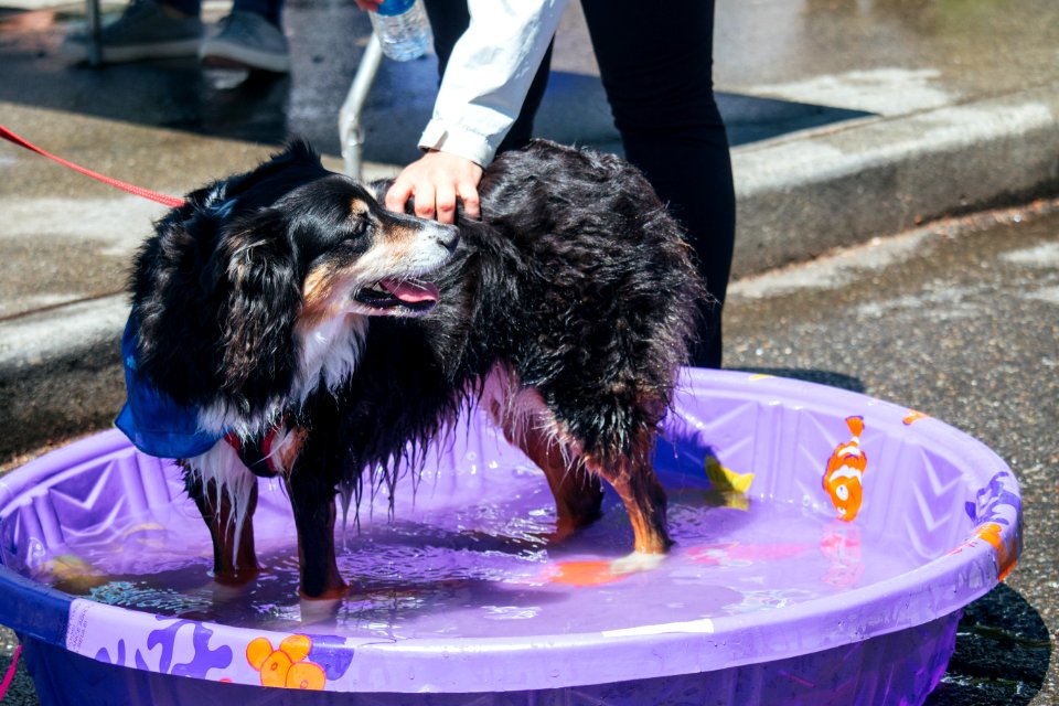 IschelleMartin-furry5k-339