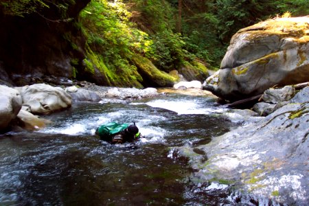 Rustler Creek rangers working Snorkeling river monitering science 2000