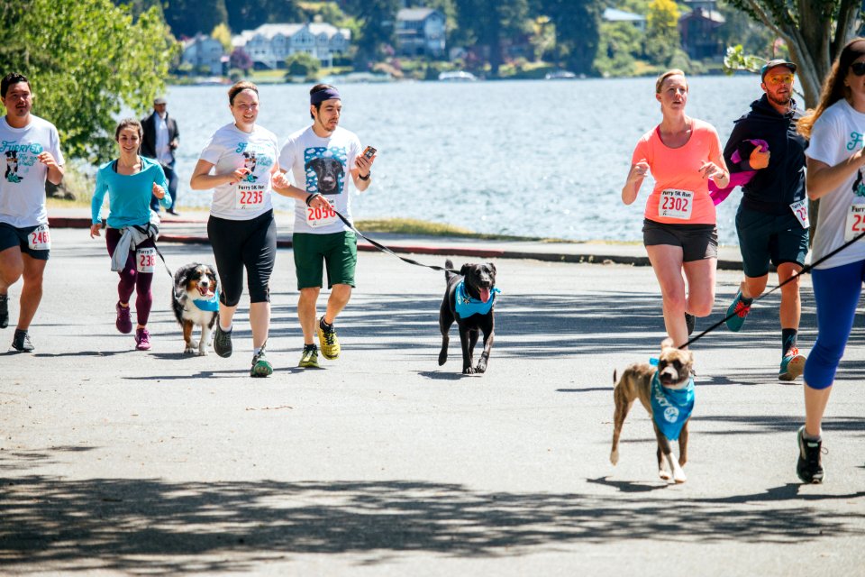 IschelleMartin-furry5k-290