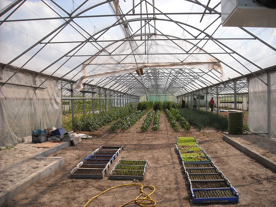 Growing breeding conservatory