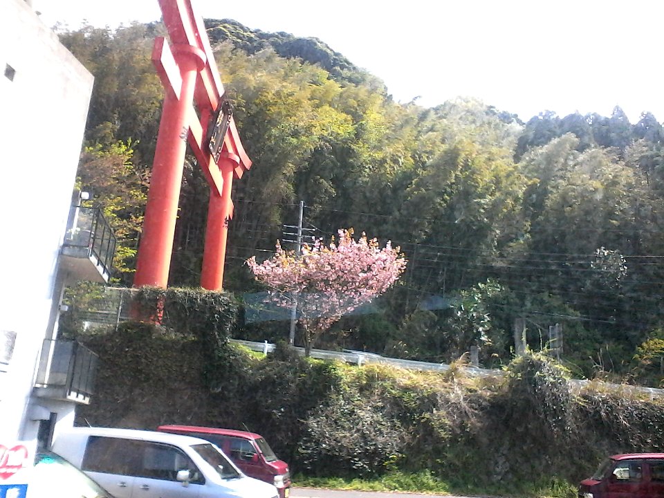 Bus trip #1 - Torii