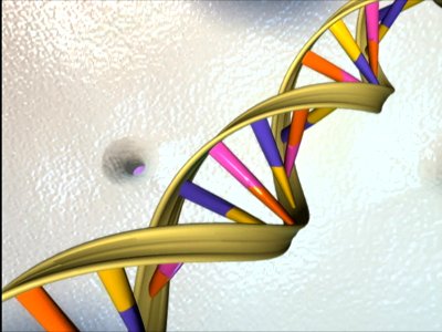 DNA Double Helix photo