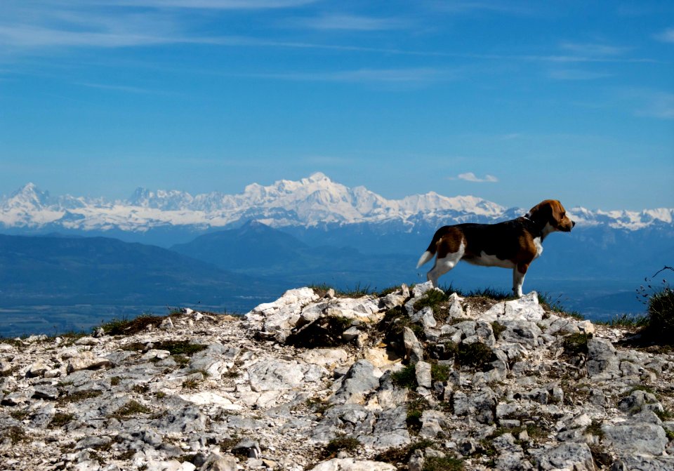 Randonnée des crêtes de Jura