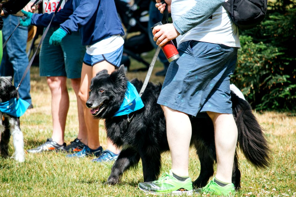 IschelleMartin-furry5k-83