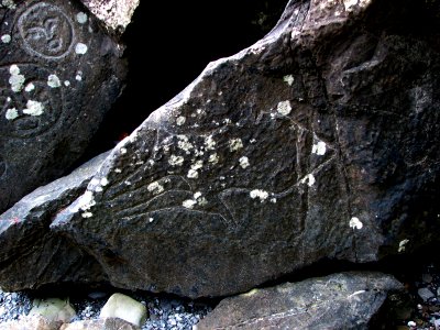 petroglyphs wedding rocks fish ssheltren nps photo