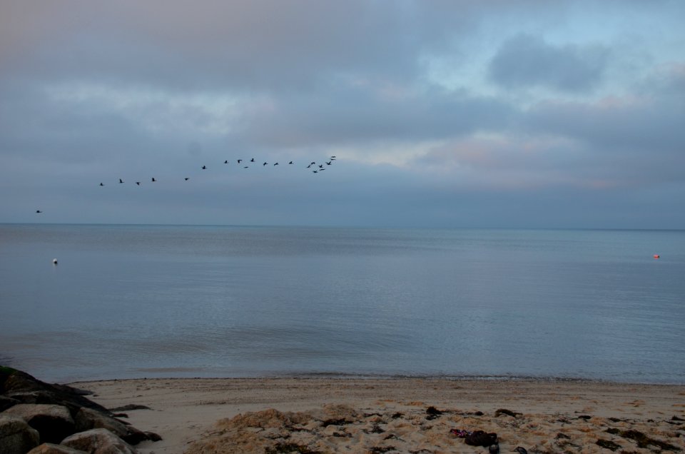 Back to the Ocean