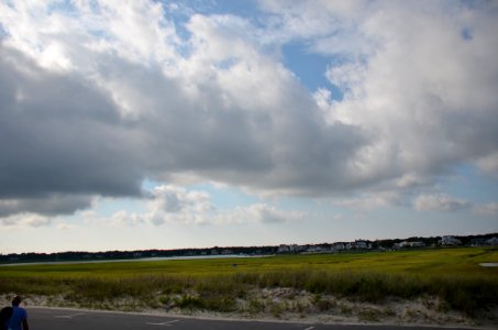 Back to the Ocean
