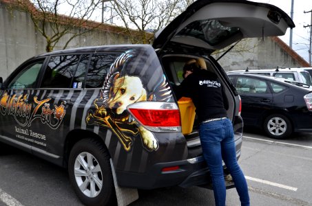 Guinea pig transport hub photo