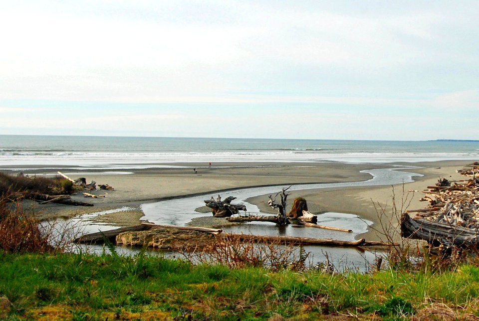 kalaloch creek driftwood beach logs coast d archuleta march 05 2015