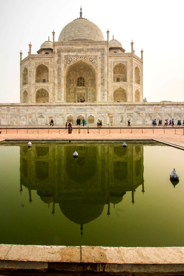AGRA - TAJ MAHAL (4)