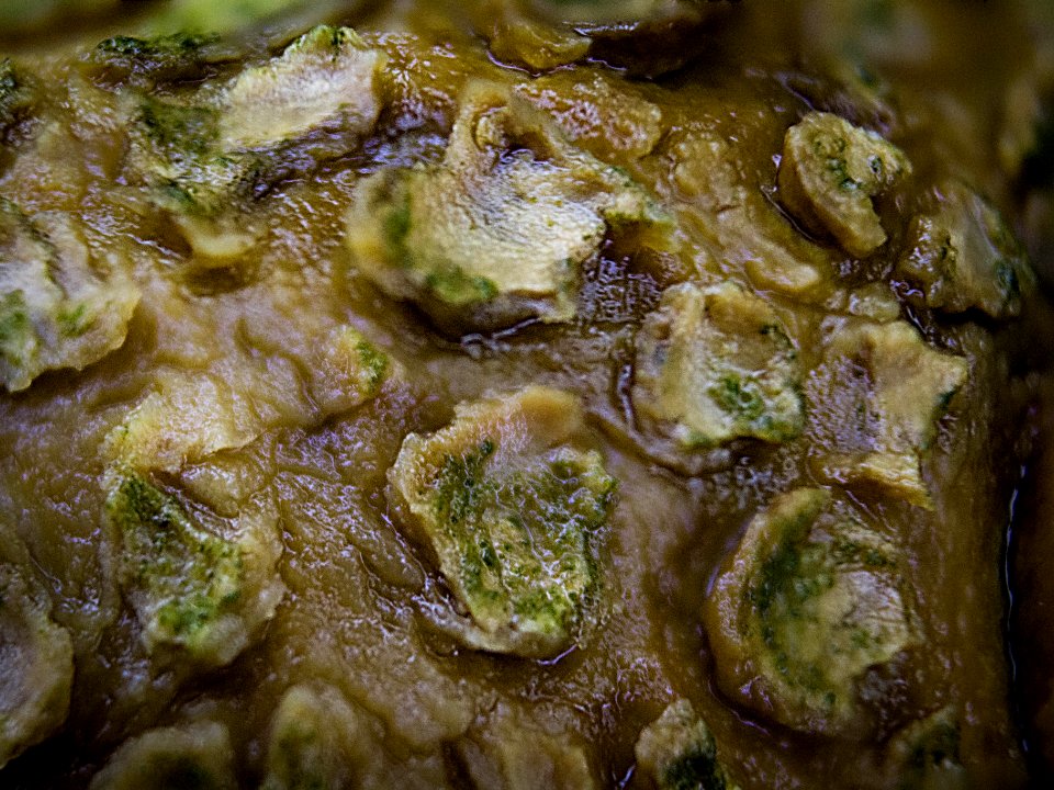 champignon "vesse de loup"