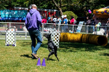 IschelleMartin-furry5k-401