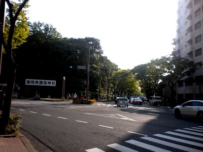 Walking around Fukuoka - beautiful path to the park