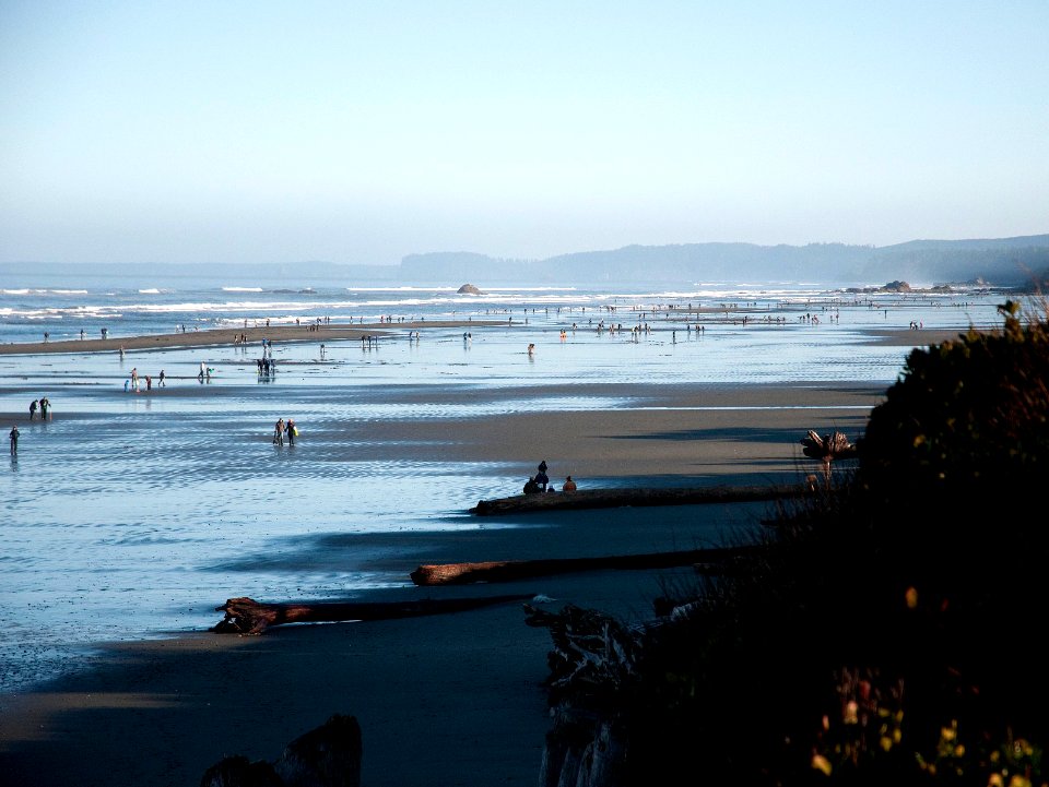 KIC4731 Morning Razor Clam Dig Kalaloch Beach Olympic NP Washington