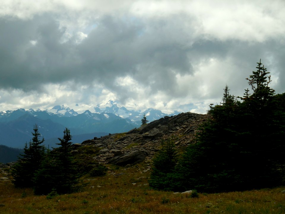 rocks subalpine trees hurricane ridge c bubar july 2014
